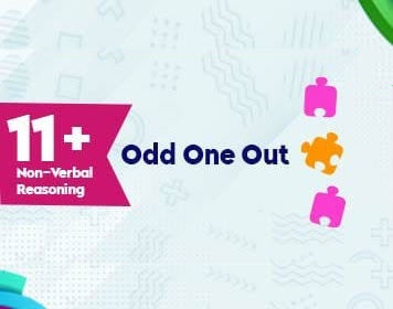 11-nvr-odd-one-out-pack-1